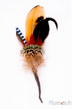Composition en plumes n° 18 - longueur 13 cm - naturel